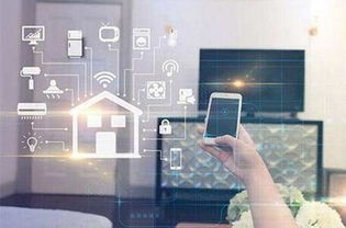 预见未来，抢占物联网应用制高点——邵刚谈物联网应用服务发展策略