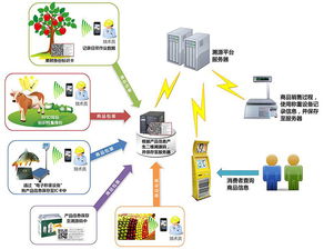 物联网技术赋能产业升级 防伪、食品安全与新材料研发的革新应用